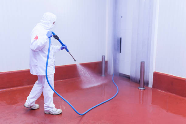 Best Roof Washing  in Longboat Key, FL